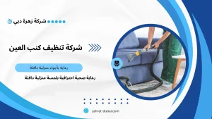 شركة تنظيف كنب العين